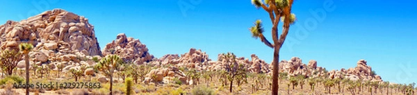 Fototapeta Prehistoric