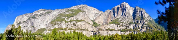 Fototapeta Yosemite Back View