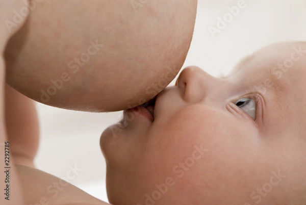 Obraz breast feeding of the newborn baby.