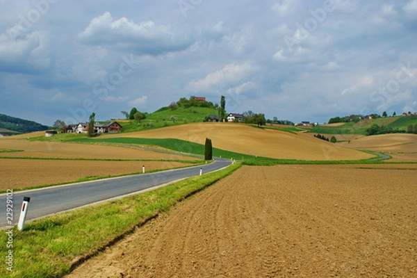 Obraz Landscape.