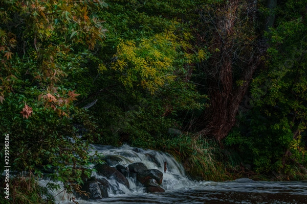 Obraz Fall for Sedona