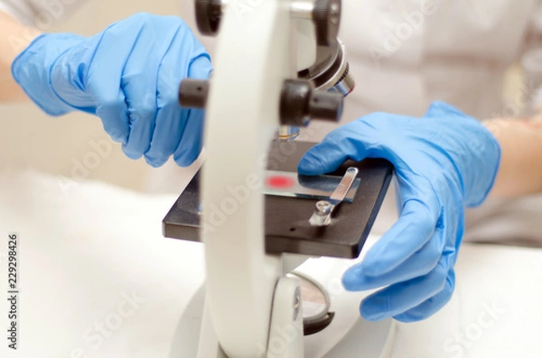 Obraz Doctor a pathologist examines under a microscope the tissue sample