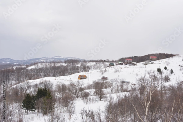 Obraz 雪国の厳しい冬景色