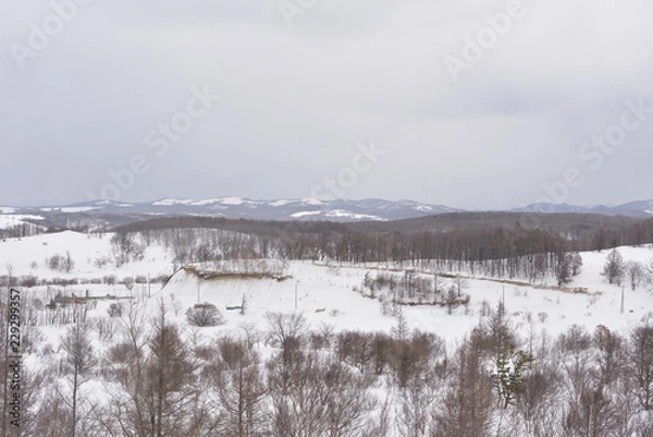 Obraz 雪国の厳しい冬景色