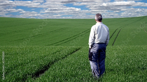 Fototapeta Bauer im Weizenfeld bis Horizont