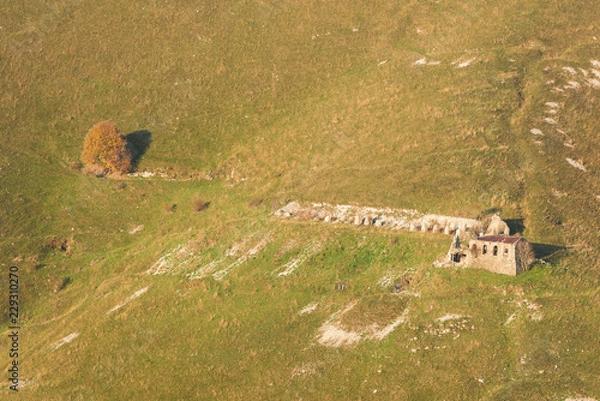 Obraz Lone tree and barn on hill