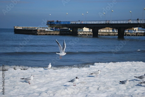 Obraz Kołobrzeg zimą