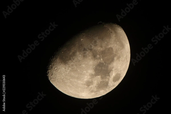 Fototapeta 上弦の月：月齢10.4