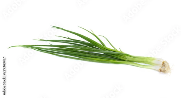 Fototapeta fresh spring onions isolated on a white background