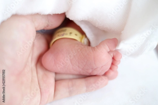 Obraz 新生児の足