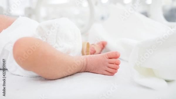 Obraz 生まれたての赤ちゃん