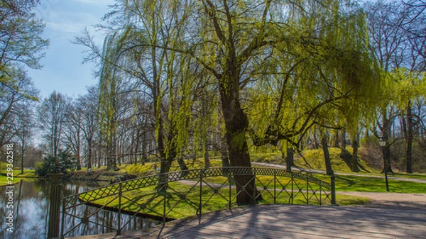 Obraz Schweriner Schloss Park