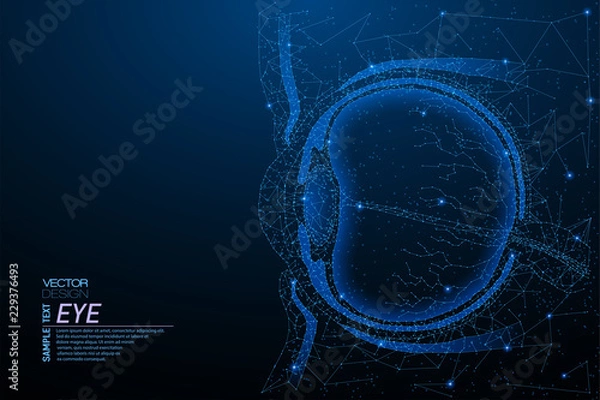 Obraz Human eye anatomy