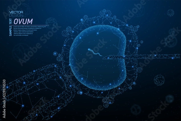 Obraz Artificial insemination, cell injection