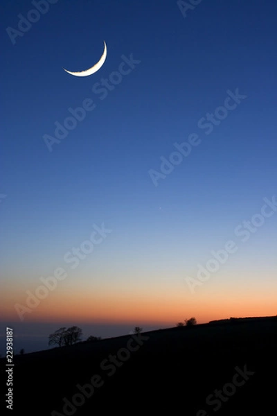Obraz A cresent moon at sunset above silhouetted trees