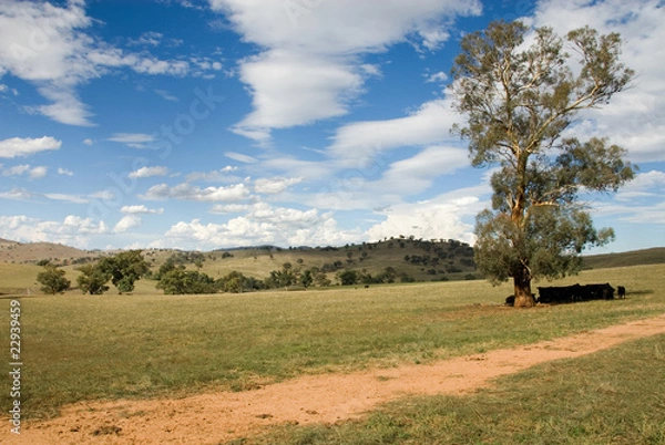 Fototapeta Summer Scene