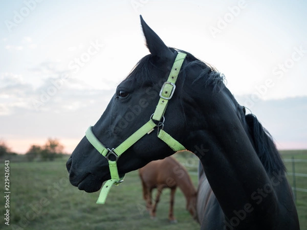 Obraz OLYMPUS DIGITAL CAMERA