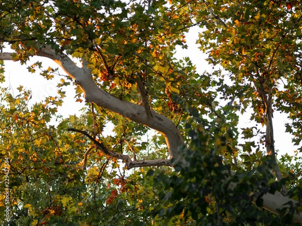 Obraz OLYMPUS DIGITAL CAMERA