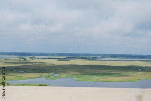 Obraz Nature in Florida