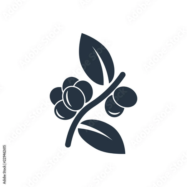 Obraz Coffee plant isolated icon on white background, 400 coffee set, logo and sign