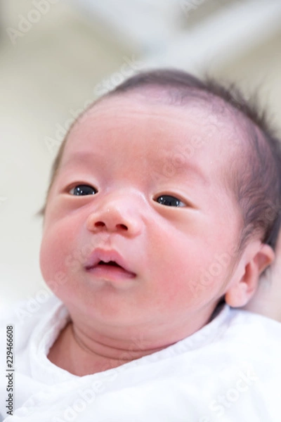 Obraz 生まれたての赤ちゃん