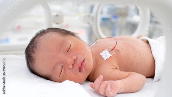 Obraz 保育器の中の赤ちゃん