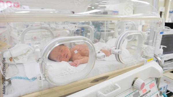 Fototapeta 保育器の中の赤ちゃん