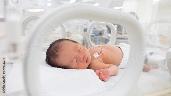 Obraz 保育器の中の赤ちゃん