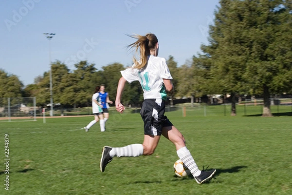 Fototapeta controllingthe soccer ball