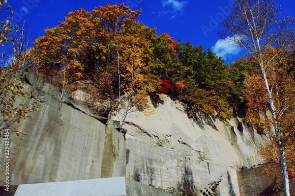 Fototapeta 札幌、石山緑地公園の紅葉風景