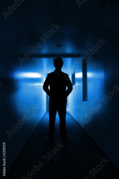 Obraz sylwetka władzy