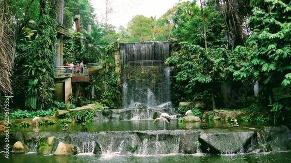 Obraz Kuala Lumpur Bird Park surrounding