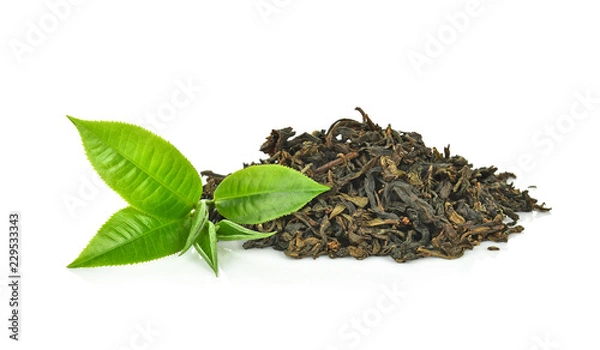 Obraz green tea leaf isolated on white background