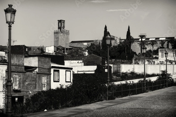 Obraz Badajoz monocromo.