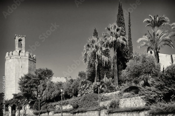 Obraz Badajoz monocromo.