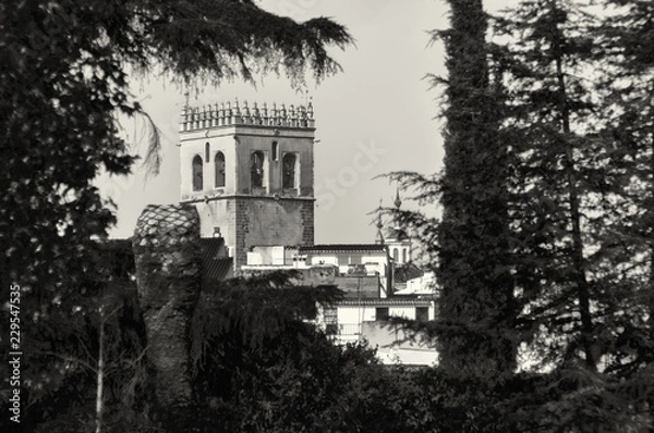 Obraz Badajoz monocromo.