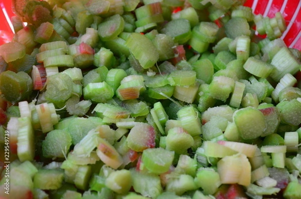 Obraz Beautiful bush of hydrangea flowers in a garden