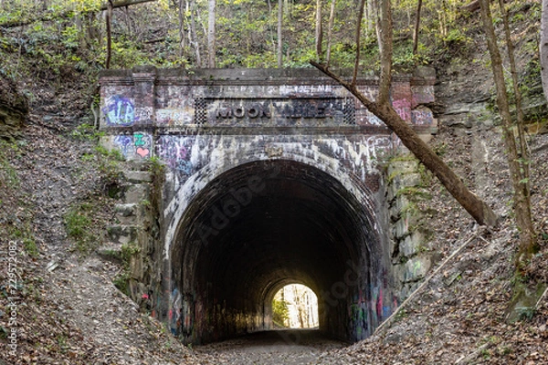 Obraz Abandoned railroad tunnel