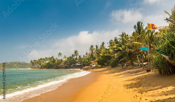 Obraz Paradise Mirissa beach in Sri Lanka. Yellow sand and palm trees with blue sky and Flag of Sri Lanka