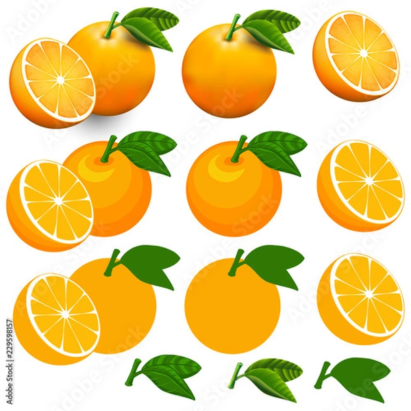 Obraz Oranges isolated on white with clipping path.