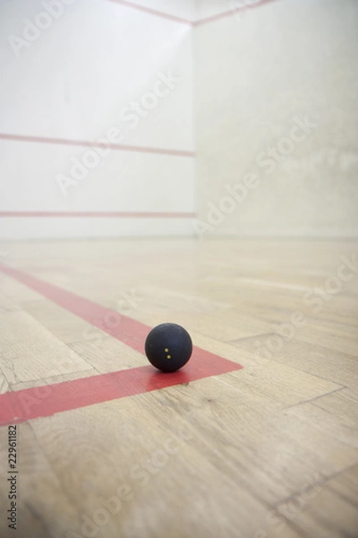 Obraz Squash court