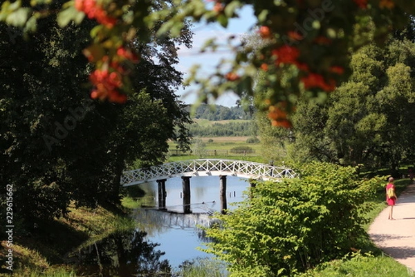 Obraz Bridge in the park