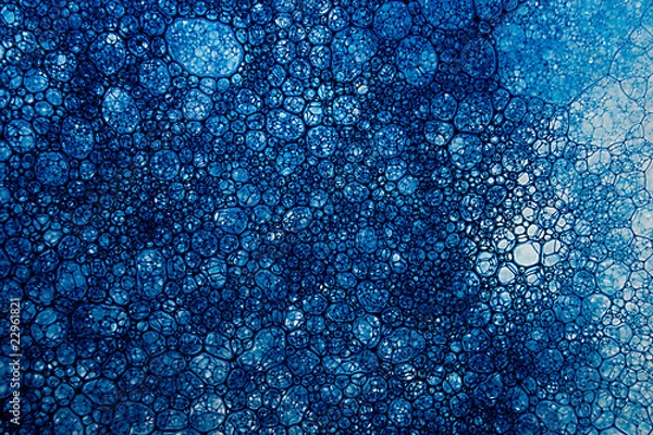 Obraz blue bubbles