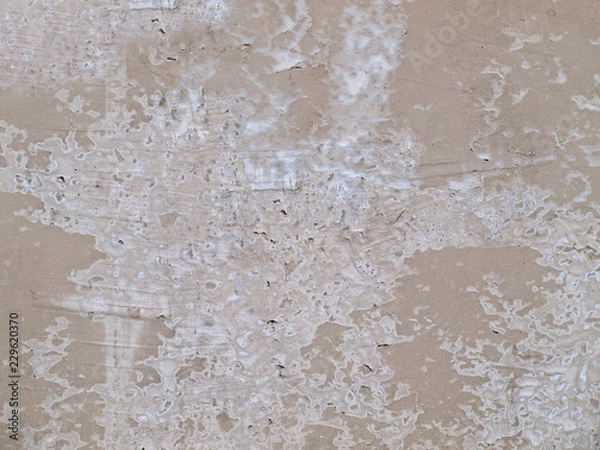 Obraz OLYMPUS DIGITAL CAMERA