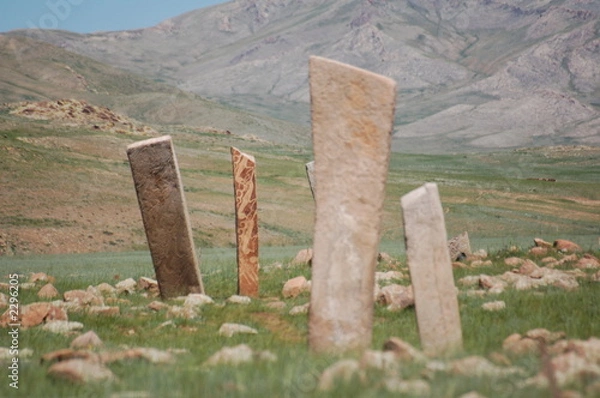 Obraz deer stones