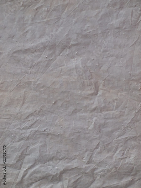 Obraz OLYMPUS DIGITAL CAMERA