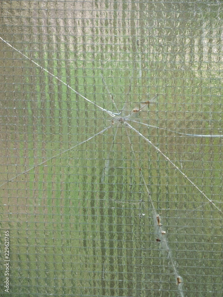 Obraz OLYMPUS DIGITAL CAMERA