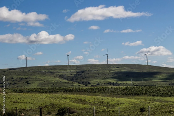 Obraz molinos viento
