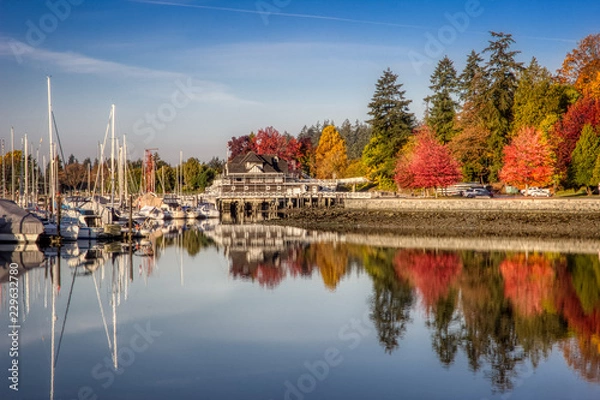 Fototapeta Colorful Autumn Foliage at Stanley Park
