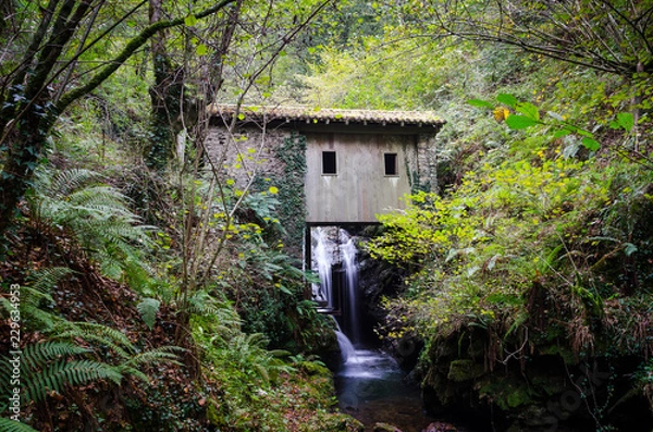 Obraz Abandoned flour mill